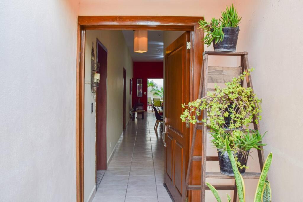 San Jose Del Mar Villa La Paz Bagian luar foto
